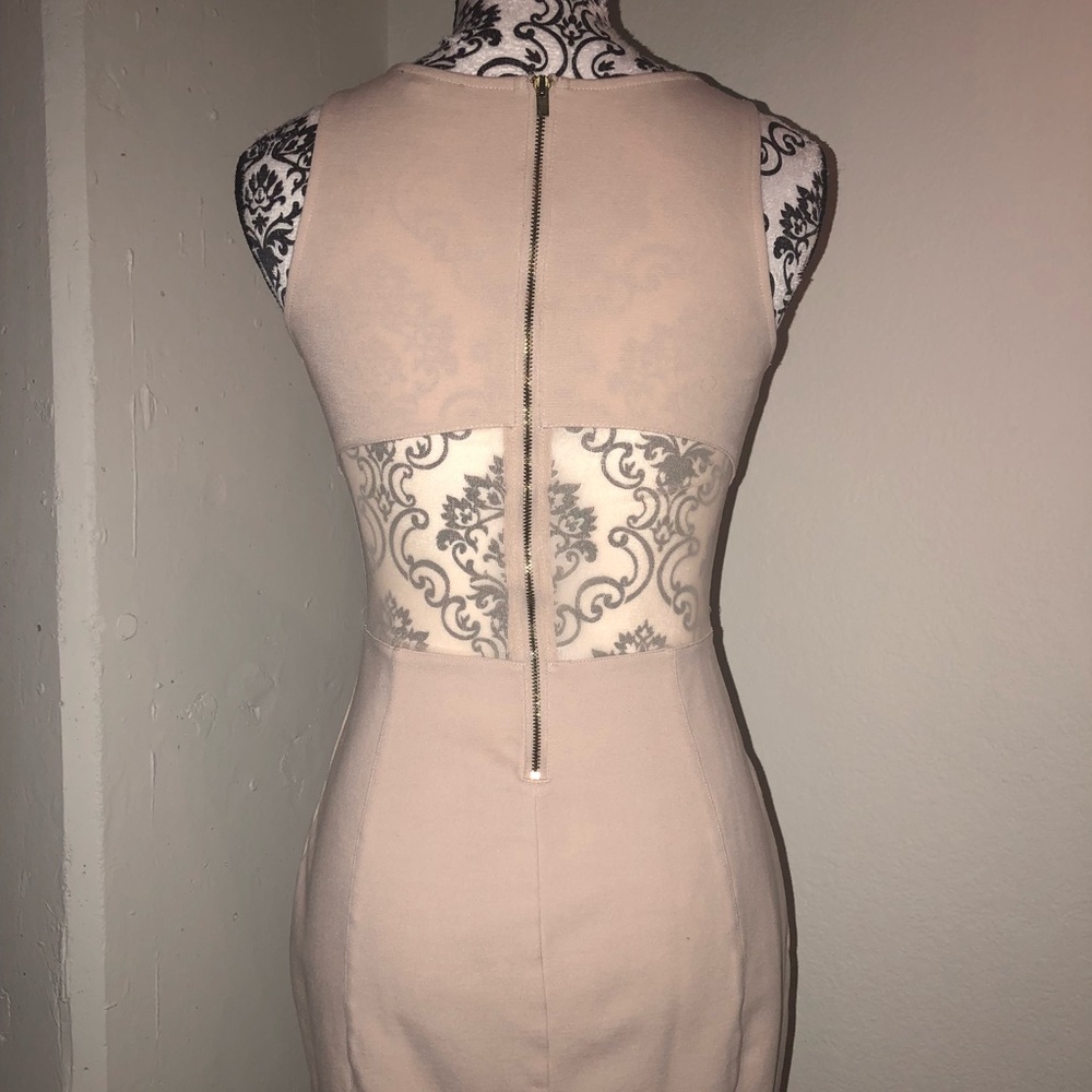 Express Bodycon Dress